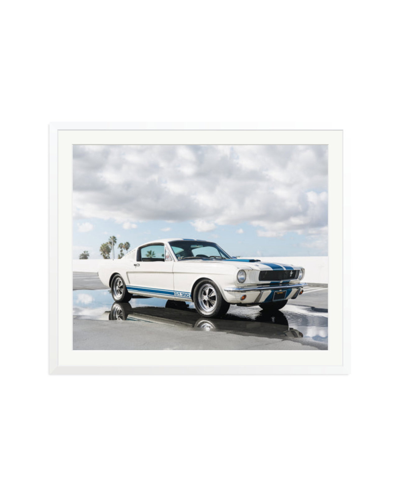 Ford Mustang Shelby GT350 White / XXL