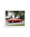 Ferrari Daytona White / XXL