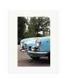 Alfa Romeo Giulietta Spider Print Only / Medium