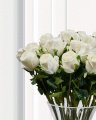 Ruusuleikkokukka valkoinen