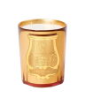 Trudon Galerie des Flammes duftlys 800 g
