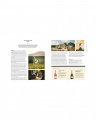 The Story of Champagne - Luxury Edition