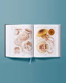 The Art and Science of Ernst Haeckel