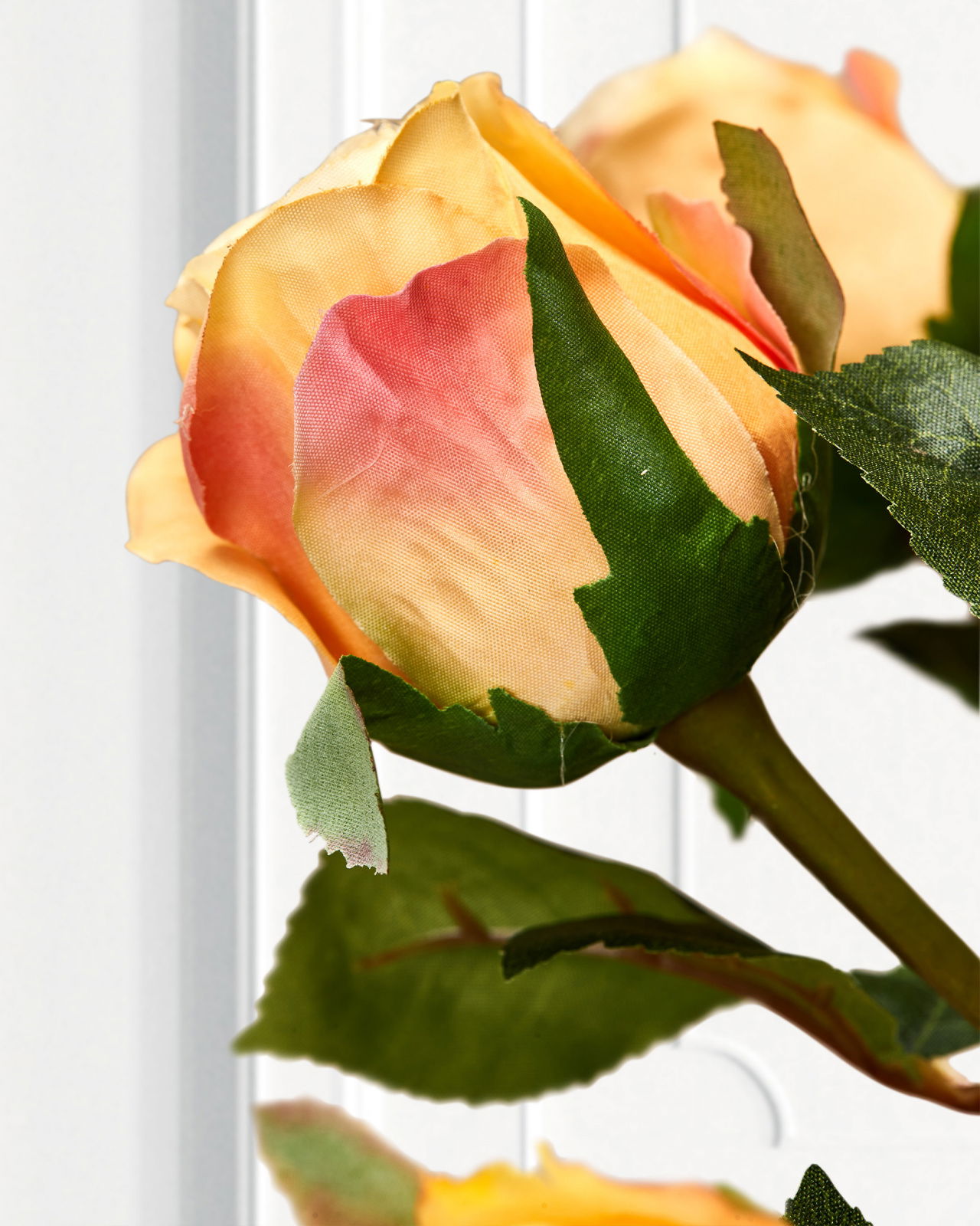 Ros snittblomma peach