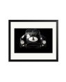 Shelby Cobra Black / Large
