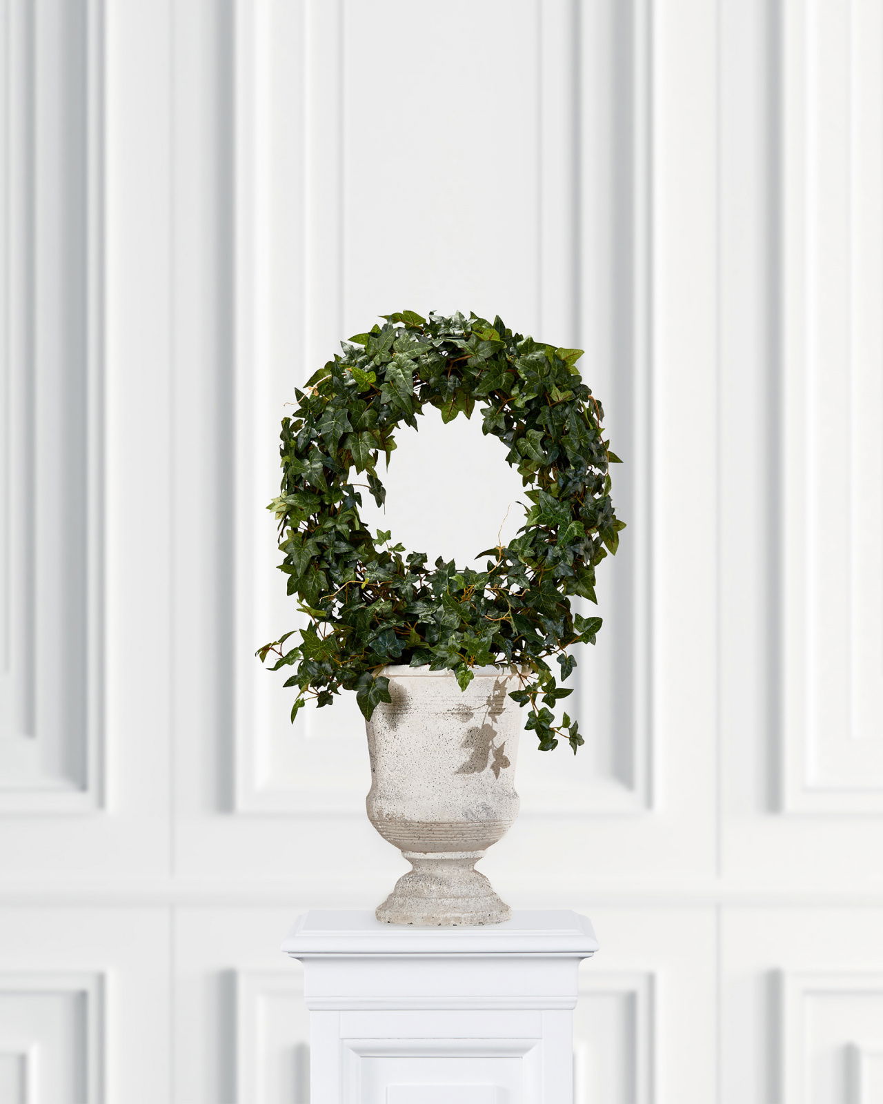 Ivy Potted Plant Green