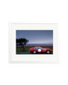 Ferrari Daytona Comp White / Medium