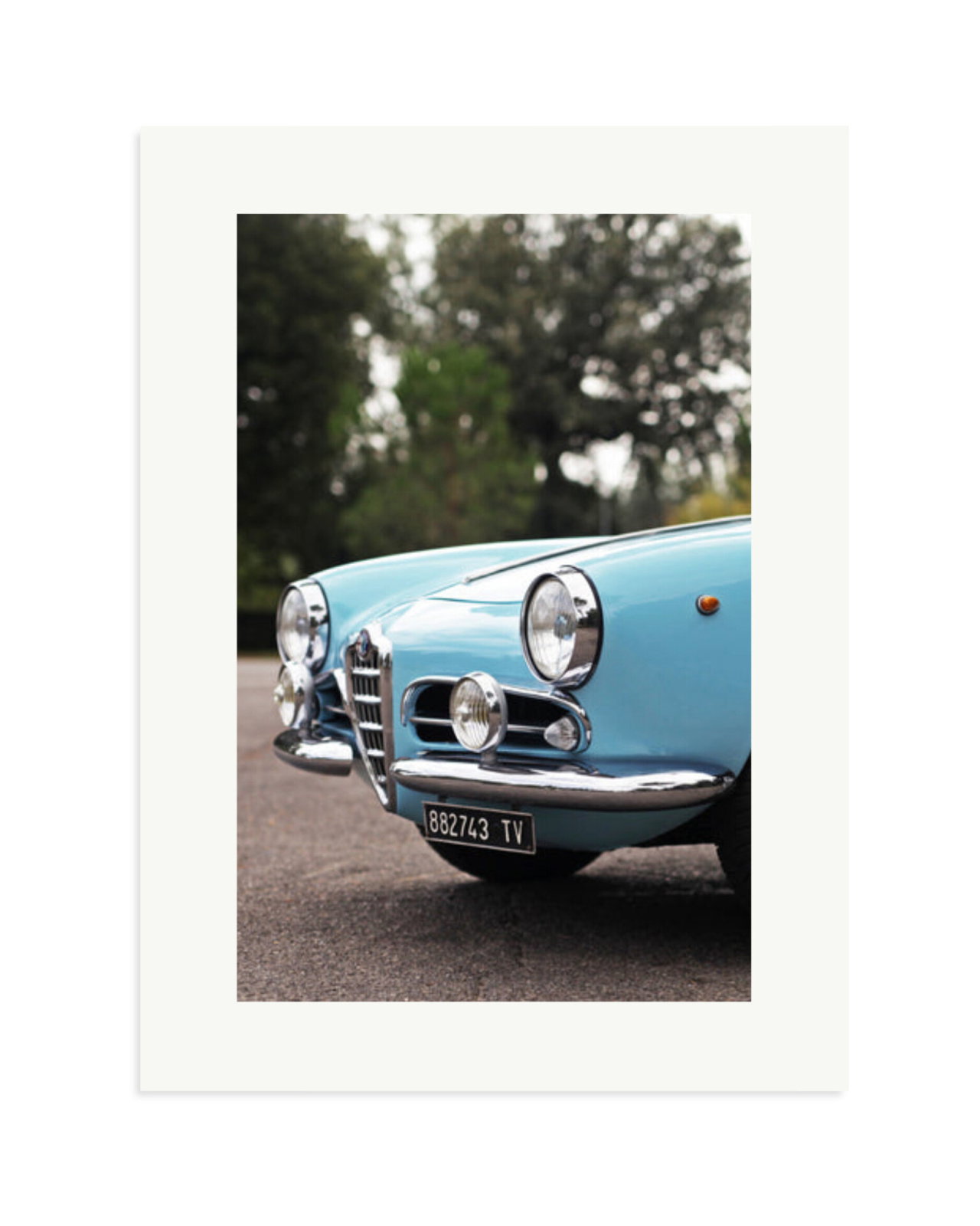 Alfa Romeo Giulietta Spider Print Only / XL