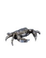 Harlow crab storage box in silver