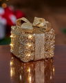Ophelia present LED Christmas Decoration Champagne