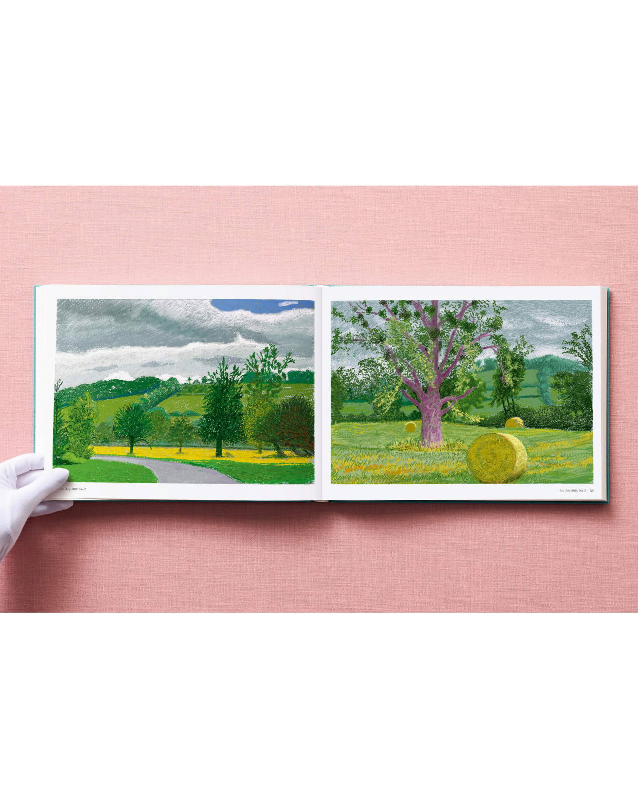 David Hockney. 220 for 2020