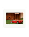 Lamborghini VT Print Only / Medium