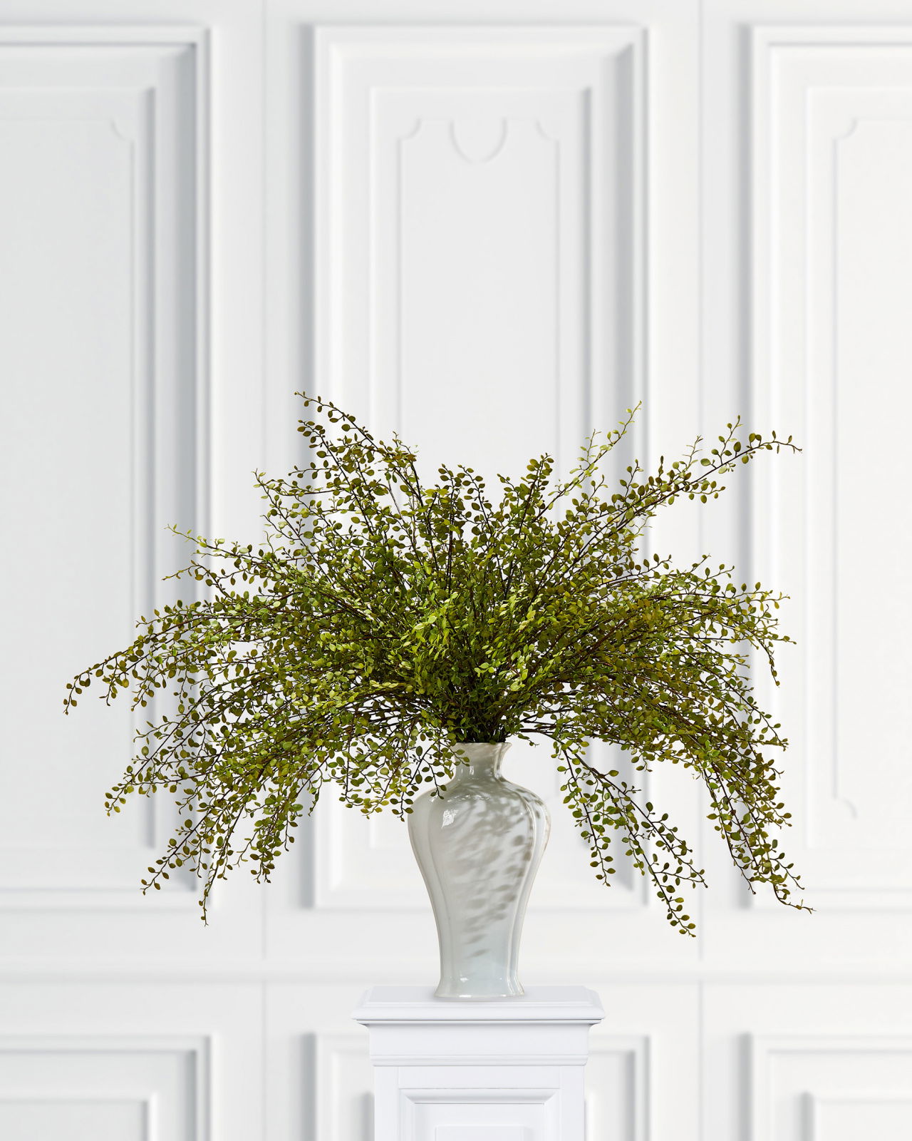 Muehlenbeckia cut flower green