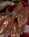 Vivian Sprig Gold