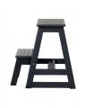 Skala step stool black