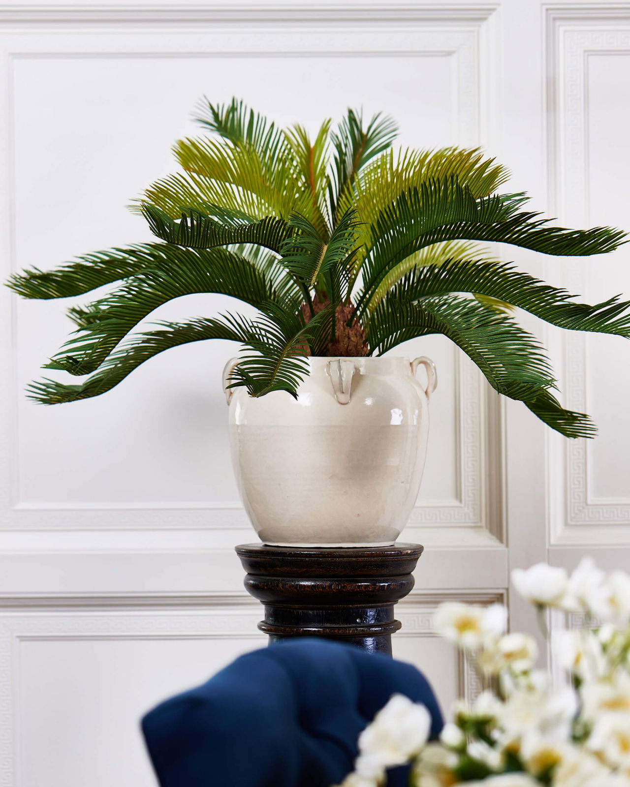 Cycas krukväxt grön